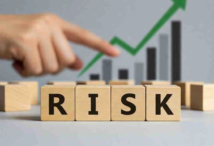 Safeguarding Equity: A Briefing on Institutional Risk
